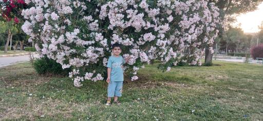 عکس بوستان نماز