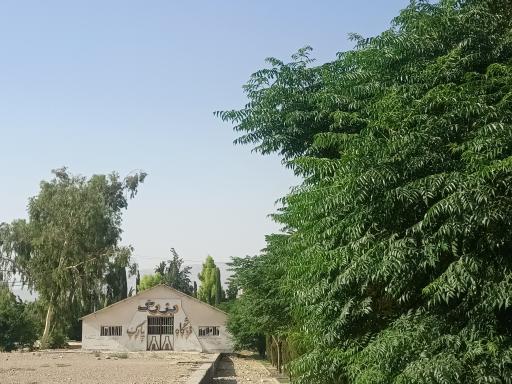 عکس فروشگاه بزرگ پارک