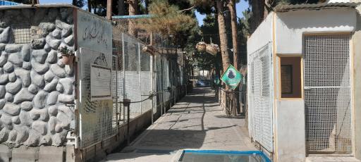 عکس باغ پرندگان