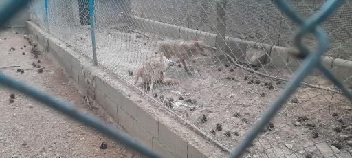 عکس باغ پرندگان