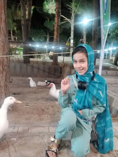 عکس باغ پرندگان