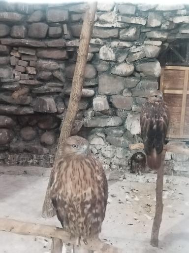 عکس باغ پرندگان