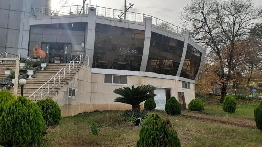اکبر جوجه سی سنگان