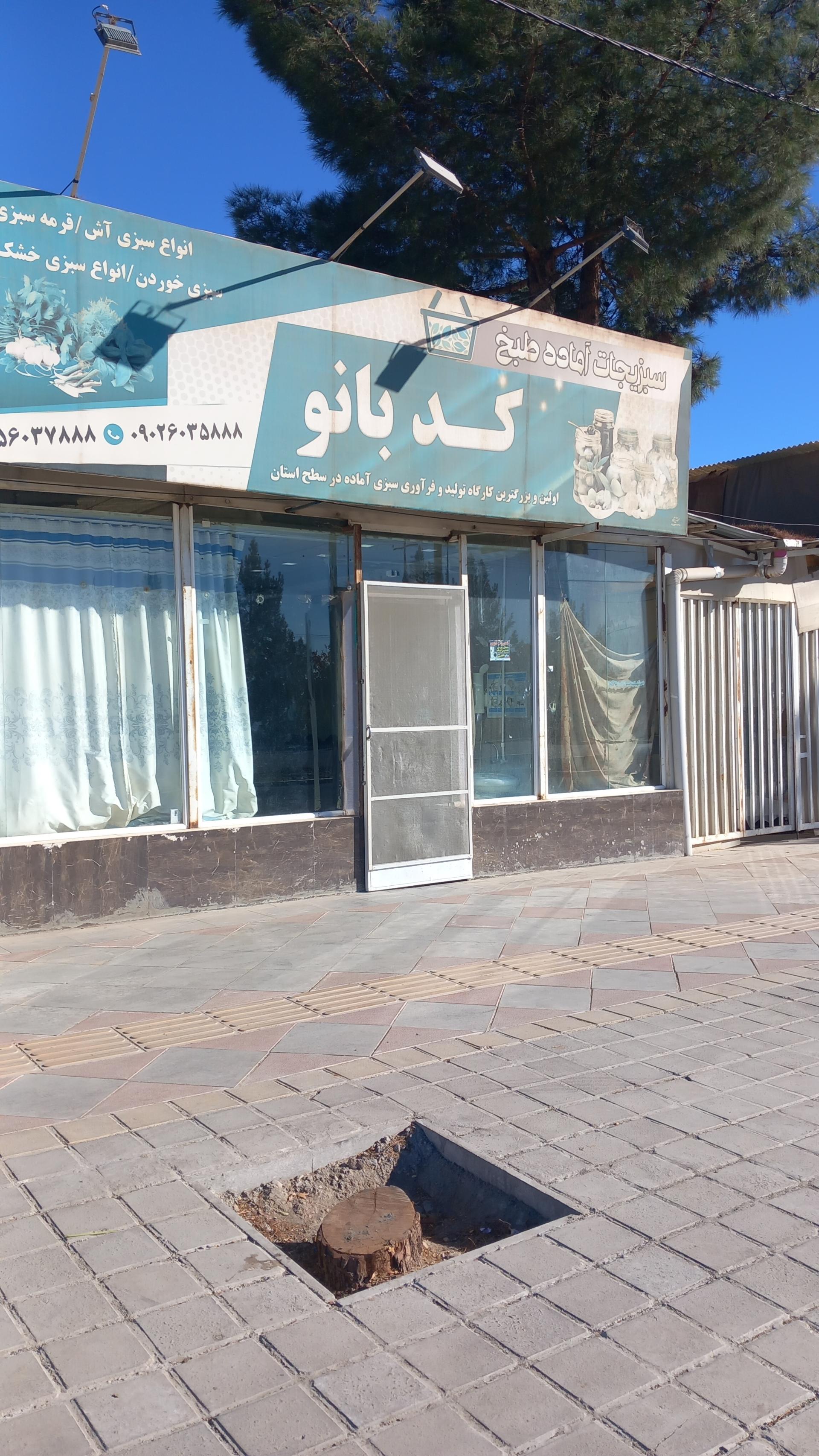 عکس سبزی آماده کدبانو 