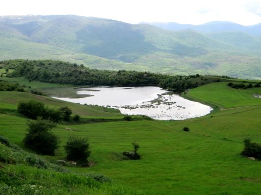 عکس کلا استل