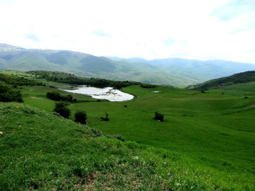 عکس کلا استل