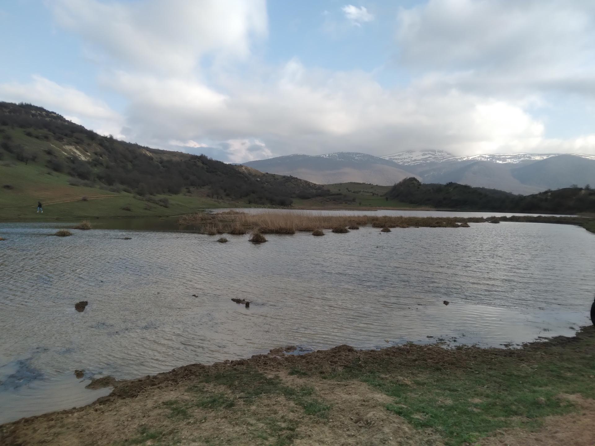 عکس کلا استل