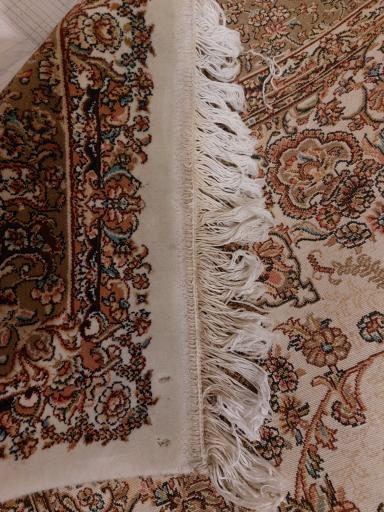 عکس قالی شویی نیلا 