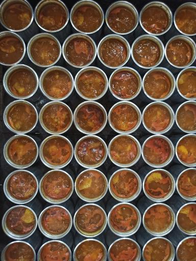 عکس دیزی اسفنجرد