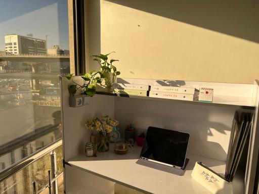 عکس سالن مطالعه دخترانه و پسرانه ویرگول