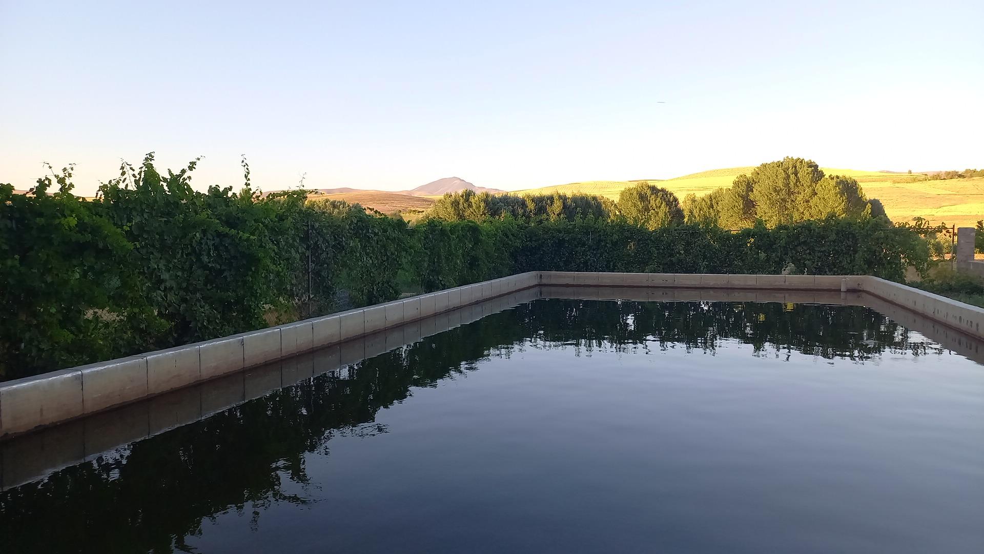 عکس پرورش ماهی مهدی