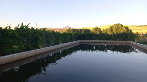 عکس پرورش ماهی مهدی