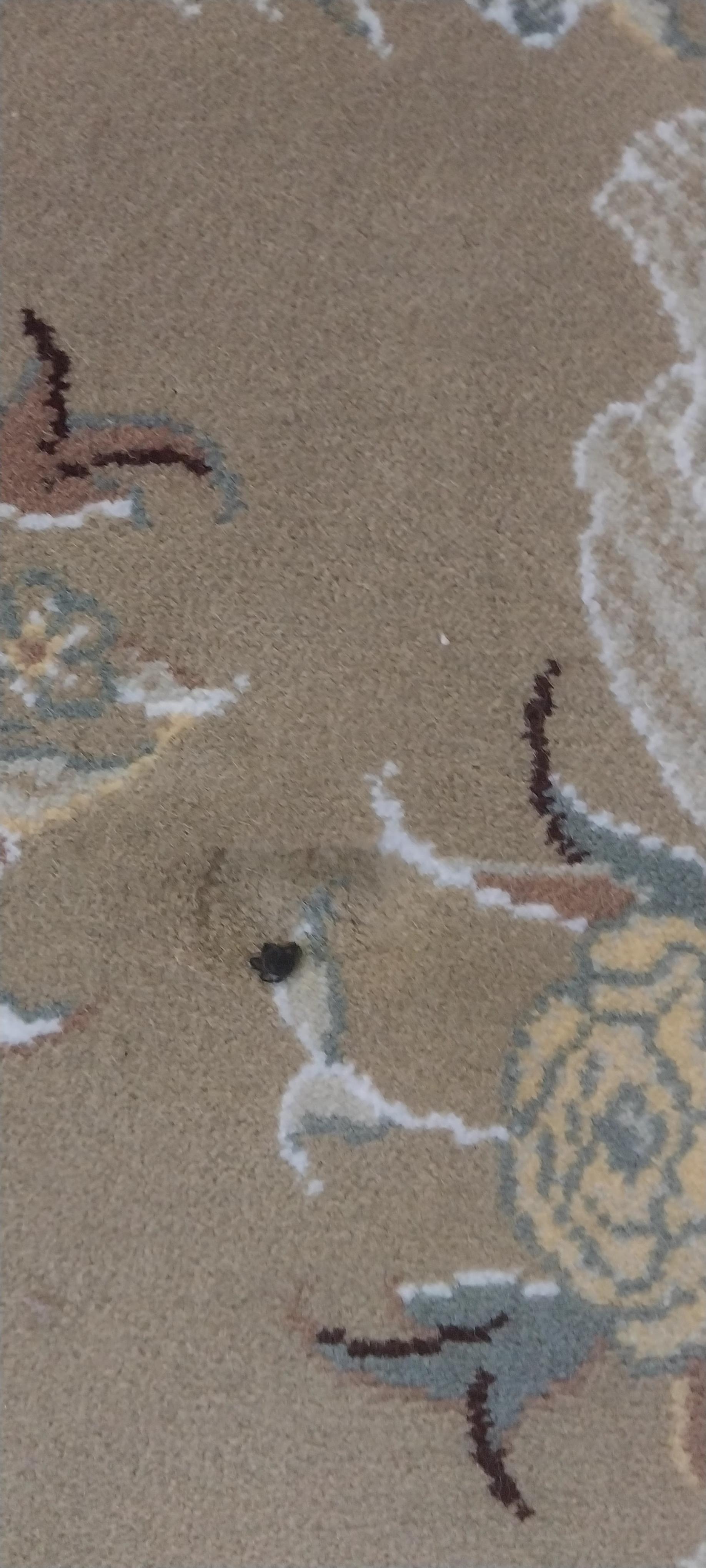 عکس قالی شویی نیلا 