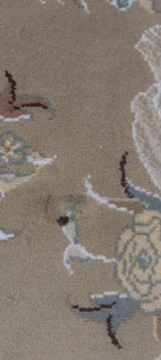 عکس قالی شویی نیلا 