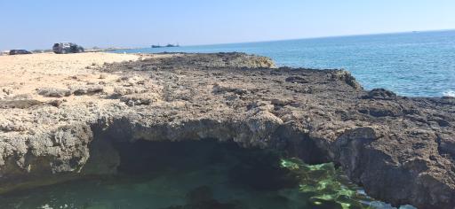 عکس در بهشت 