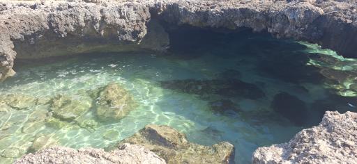 عکس در بهشت 