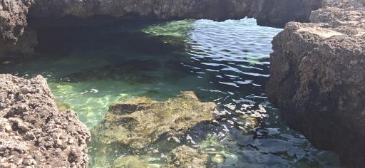 عکس در بهشت 