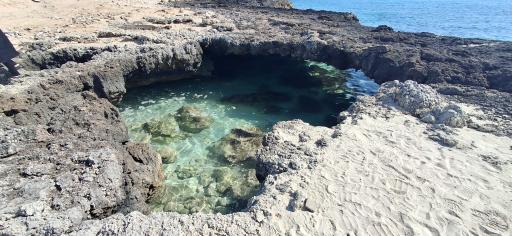 عکس در بهشت 