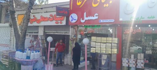 عکس لبنیاتی ضرغام