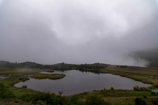 عکس کلا استل