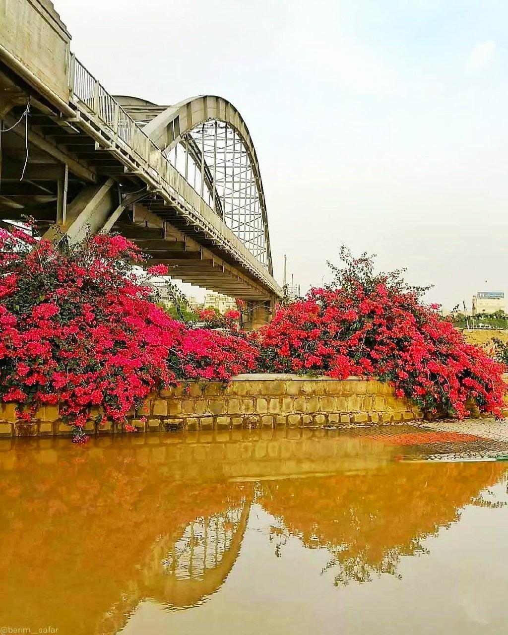 عکس پل سفید