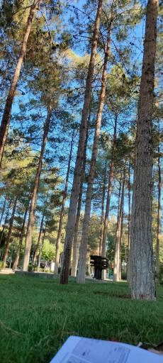 عکس بوستان بلال