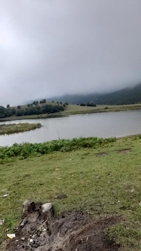 عکس کلا استل