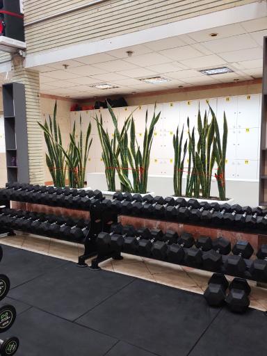 عکس باشگاه بدنسازی شهرک پارس