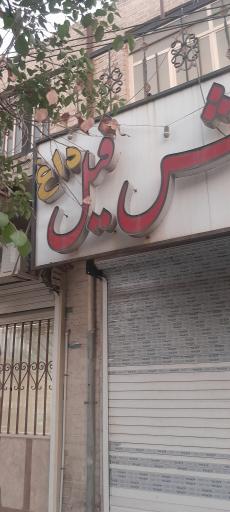 عکس زولبیا و گوش فیل داغ سانیچ