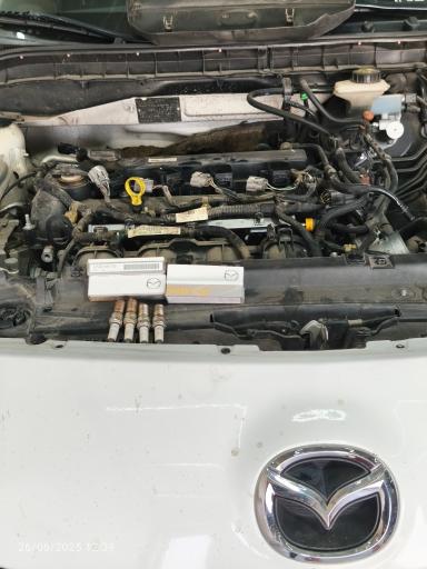 عکس ژرمن سرویس 