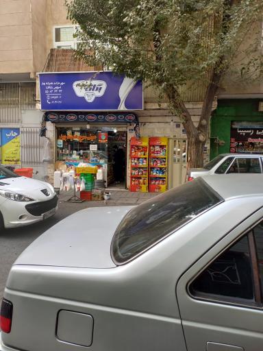 فروشگاه همیشه بهار
