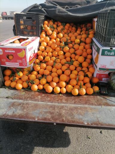 عکس میدان میوه و تره بار