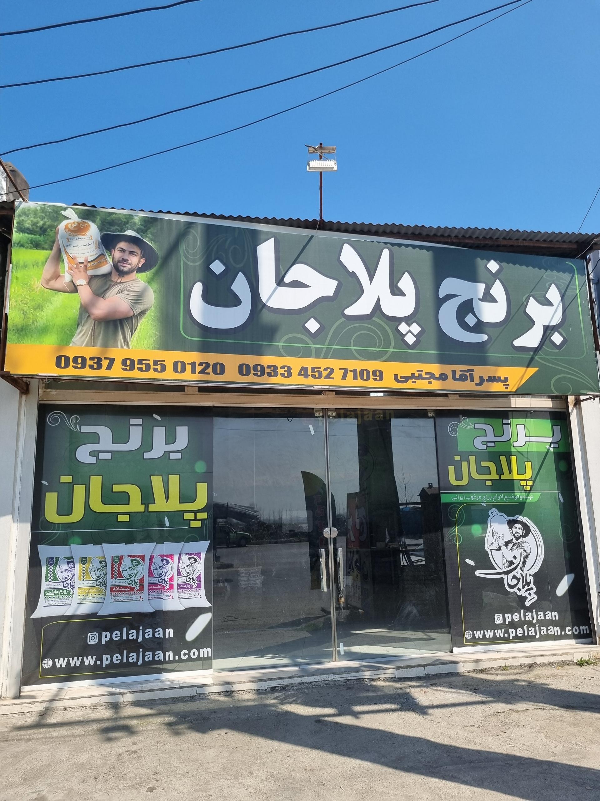 عکس برنج پلاجان