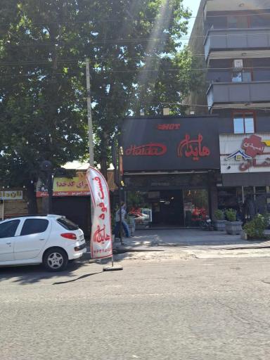 عکس هایدا گیلاوند