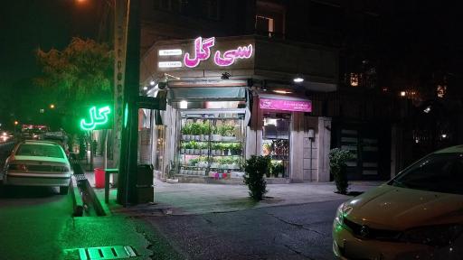 عکس گل فروشی سی‌گل
