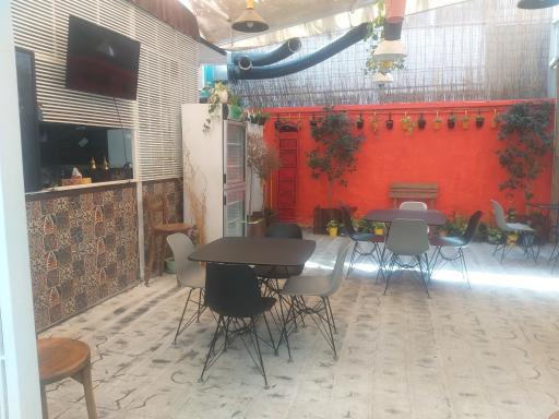 عکس پاتوق کتاب