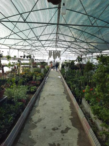 عکس نمایشگاه گل و گیاه مرجان