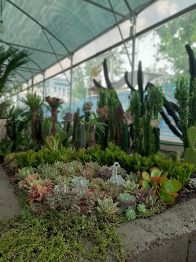 عکس نمایشگاه گل و گیاه مرجان