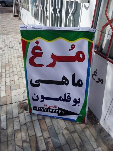 عکس مرغ و ماهی فروشی قاسمی نیا