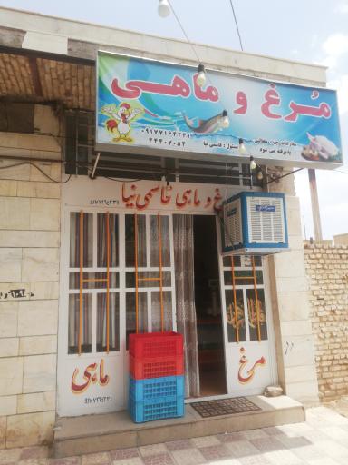 عکس مرغ و ماهی فروشی قاسمی نیا