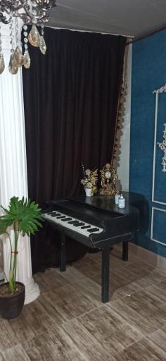 عکس استودیو پونک