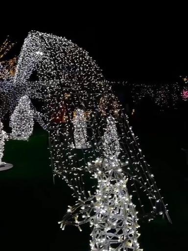 عکس باغ گل رز(باغ نوری)