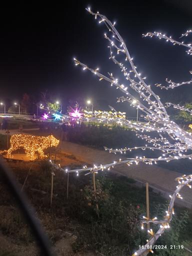 عکس باغ نورانی گل رز