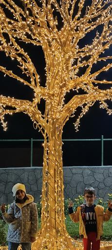 عکس باغ گل رز(باغ نوری)