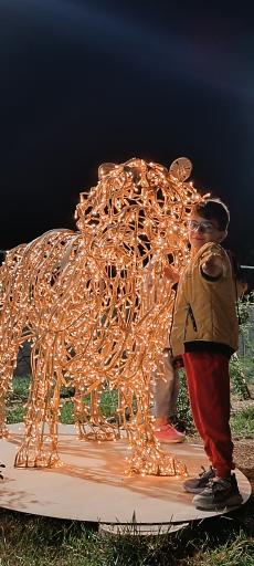 عکس باغ گل رز(باغ نوری)