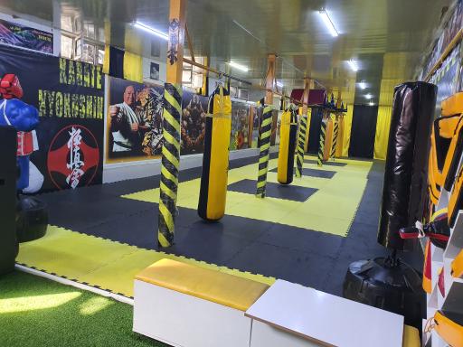 عکس باشگاه  هوک