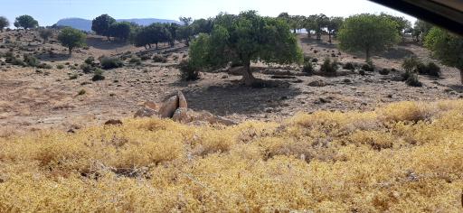 عکس اسلام آباد غرب