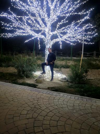 عکس باغ گل رز(باغ نوری)