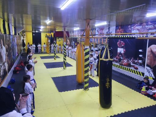 عکس باشگاه  هوک