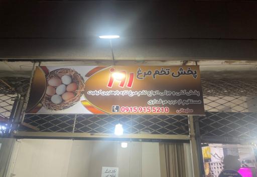 عکس پخش تخم مرغ روز